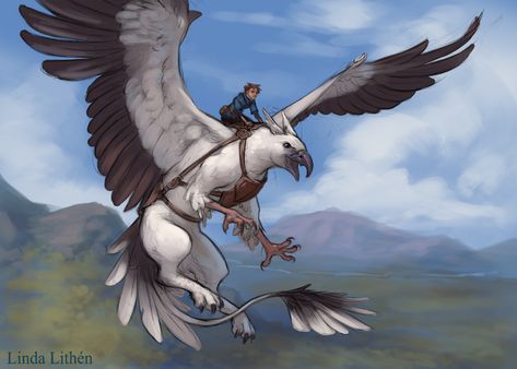 Gryphon Rider, Creature Drawings, Fantasy Creatures Art, Creatures Art, Mythical Creatures Art, Mythological Creatures, Creature Concept Art, Animal Sketches, Fantasy Warrior