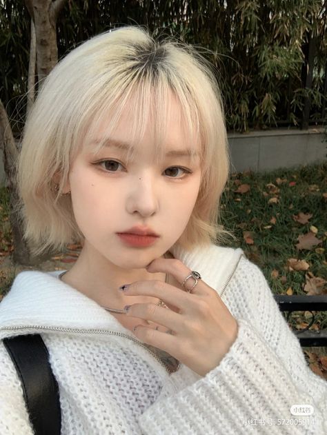 Asian Short Hair With Bangs, Blonde Hair Korean, Short Hair Blonde, Short Bleached Hair, Short White Hair, Blonde Asian, Korean Hair Color, Korean Short Hair, Asian Short Hair