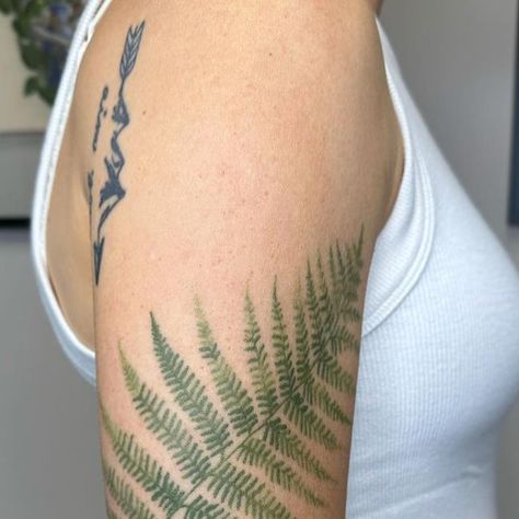 Fern Tattoo, Botanical Tattoo, Shoulder Tattoo, Color Tattoo, I Love It, Fern, Tatting, Love It, Tattoo Ideas