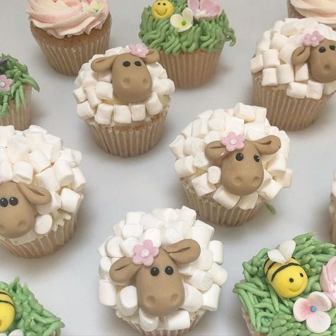 Sheep Fondant, Lamb Cupcakes, Sheep Cupcakes, Eid Cake, Sheep Cake, Farm Baby Shower, Farm Baby, Easter Baking, Let Them Eat Cake