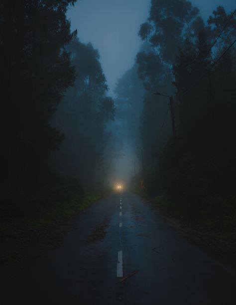 Gloomcore Aesthetic, Dark Road, Dark Weather, Dark Naturalism, Dark Paradise, Dark Photography, Night Aesthetic, A Storm, Dark Forest