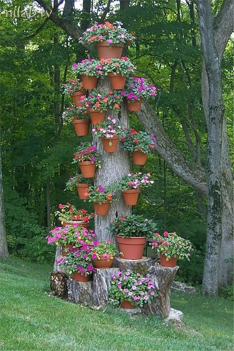 Micro Blading, Natural Landscaping, Flower Tower, Spring Decor Diy, Spring Decoration, Meteor Garden 2018, Eyebrow Tattoo, Diy Garden Projects, Tree Stump