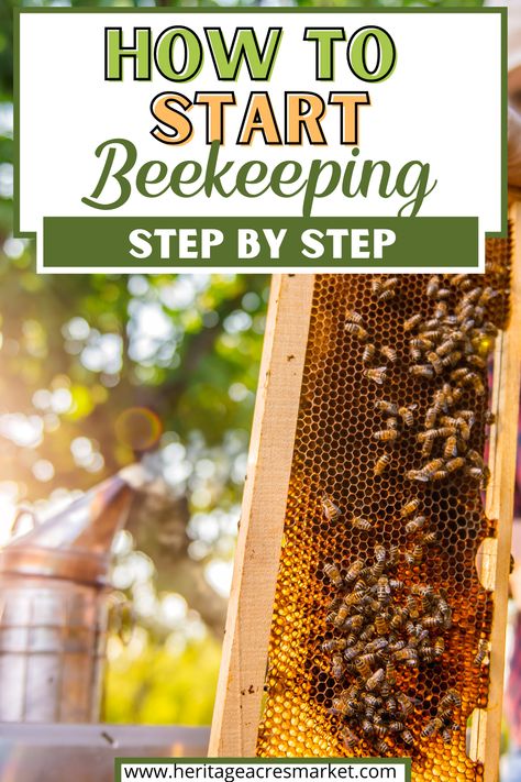 How To Raise Bees, How To Start Raising Honey Bees, Starting Bee Keeping, How To Become A Bee Keeper, Diy Bee Keeping, How To Start A Bee Farm, Bee Farming Beekeeping, How To Raise Bees For Honey, How To Start A Bee Hive Beekeeping For Beginners