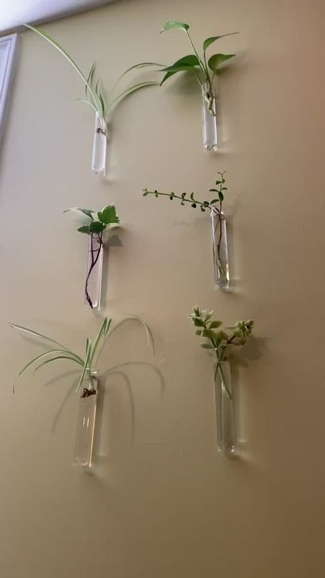 Hanging Plant Pots Indoor, Hanging Plant Pots, Wall Hanging Plant, نباتات منزلية, Hanging Plants Indoor, Deco Nature, Dekor Diy, Diy Plant Hanger, Plant Decor Indoor