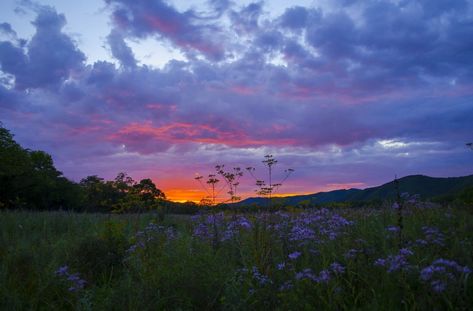 Pretty Landscapes, Images Esthétiques, Pretty Sky, Pretty Photos, Sunset Pictures, Alam Yang Indah, Nature Aesthetic, Pretty Places, Sky Aesthetic