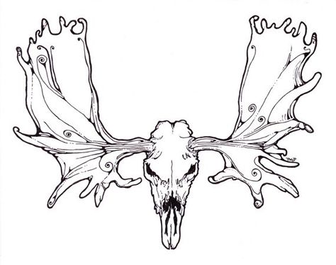 Outdoor Tattoos, Antlers Drawing, Moose Skull, Outdoor Tattoo, Moose Tattoo, Character Tattoos, Floral Antlers, Moose Antlers, Skull Drawing