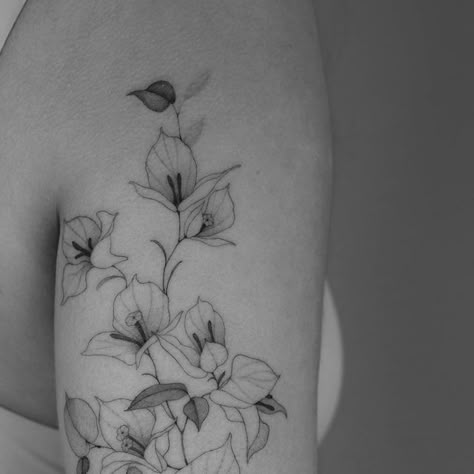 Nadia Andriu on Instagram: "Bougainvillea for Lydia🤍" Bougainvillea Drawing Black And White, Bougainvillea Flower Tattoo, Mexican Flowers Tattoo, Bougainvillea Tattoo, Portuguese Tattoo, Orchid Tattoo, Mexican Flowers, Plant Tattoo, Cool Braid Hairstyles