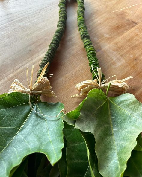 Lei Aloha❤️🌈✨🌺 #boxers_baking_leimaking #lei #makelei #wearlei #givelei Palm Leaves, Lei, Baking, How To Wear, Quick Saves