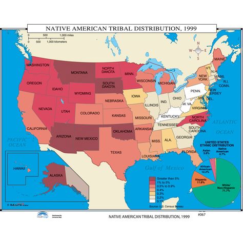 Universal Map U.S. History Wall Maps - Native American Tribal Distribution You'll Love | Wayfair Native American Knowledge, History Wall, History Curriculum, California History, Native American Tribes, Wall Maps, Native American History, Us History, American Heritage