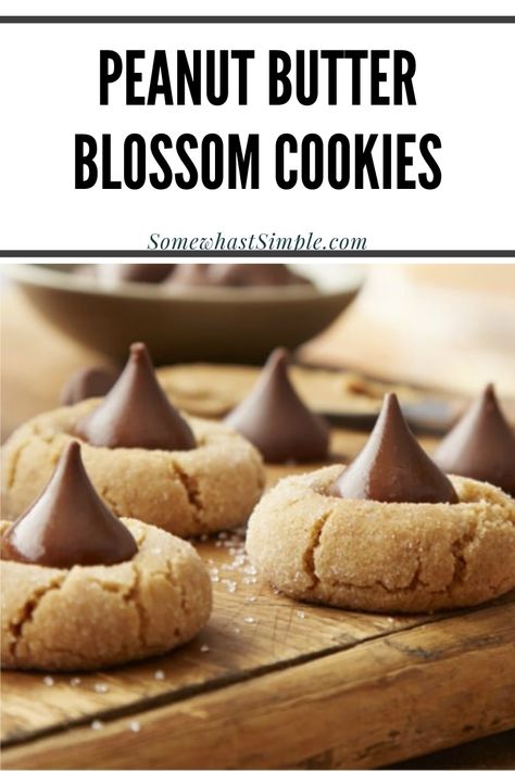 Peanut butter blossoms are an easy holiday cookie recipe that are filled with the delicious combination of peanut butter and chocolate. These cookies are made with just a few simple ingredients and make the perfect Christmas cookie recipe. Peanut Butter Kiss Cookies Recipe, Peanut Blossom Cookies, Kiss Cookie Recipe, Peanut Butter Blossoms Recipe, Chocolate Kiss Cookies, Peanut Butter Blossom, Peanut Butter Kiss, Peanut Butter Kiss Cookies, Butter Blossoms