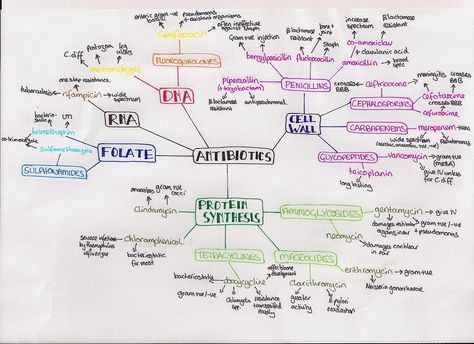 help-im-a-medstudent:  “Summary of antibiotics  Split up into the part of the bacteria that the antibiotics affect  This is not an exhaustive list, just the main ones that were highlighted to us in our Infectious Disease rotation!  BBB - blood brain... Infectious Diseases Notes, Antibiotics Nursing, Antibiotics Chart, Antibiotics Pharmacology, Internal Medicine Doctor, Microbiology Study, Pharmacology Studying, Nursing Care Plan, Pa School