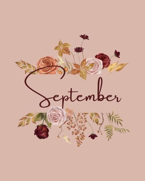 May all your vibes this month say: I f*cking got this 🙌🏿 September Witch, September Quotes, Welcome September, Hello September, Open Arms, Cozy Vibes, Fall Season, Witch, Instagram Posts