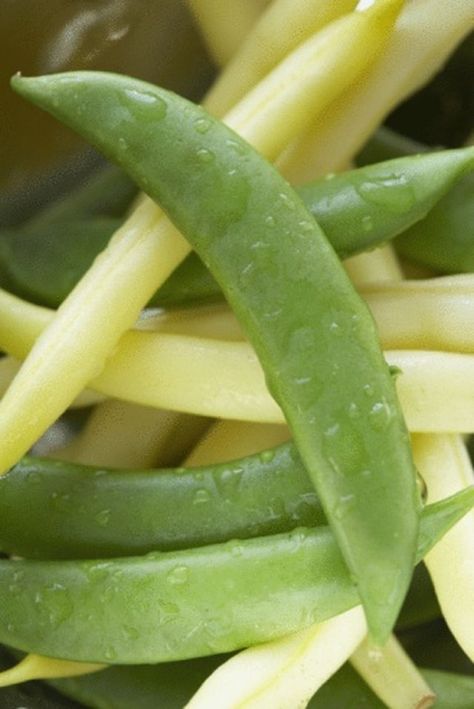 Yellow Beans Recipe, Yellow Wax Beans, Yellow Beans, Freeze Beans, Freezing Fruit, Freezing Vegetables, Snap Beans, Wax Beans, Wax Bean