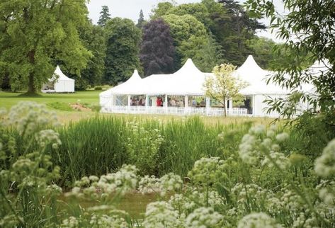 Love to be baking in this tent! Great British Bake Off Kitchen, Great British Bake Off Tent, The Great British Bake Off Illustrations, British Baking Show, Great British Baking Show, Tent Stove Bell Tent Uk, Golden Spoon, Calico Critter, British Bake Off