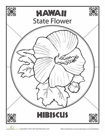 Worksheets: Hawaii State Flower Hawaii Worksheets For Kids, Hawaii Worksheets, Hawaiian Day At School, Flower Worksheet, Hawaii State Flower, Tropical House Plans, Hawaii Crafts, Hawaiian Language, Hawaii Activities