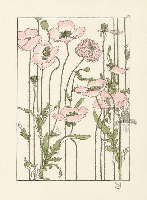 Flower Studies, Peony Tattoo, Poppy Drawing, Poppies Tattoo, Pink Poppy, Art Nouveau Illustration, Lino Prints, Pink Poppies, Poster Size Prints