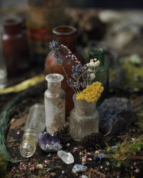 Green Witch Aesthetic, Herbal Witch, Nature Witch, Witch Herbs, Witch Core, Cottage Witch, Green Witchcraft, Witches Altar, Goblin Core