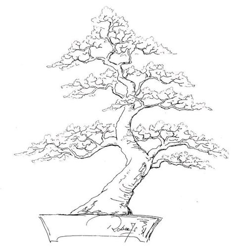 Bonsai Sketch Drawing, Bonsai Sketch, Bonsai Tree Drawing, Jake Tattoo, Trees Art Drawing, Bonsai Drawing, Bonsai Design, Tattoo Tree, Handmade Walking Sticks