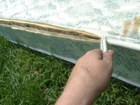 Recycling a Mattress and Box Spring – Trashmagination Box Spring Upcycle, Repurpose Box Spring, Old Box Spring Ideas Diy, Box Spring Repurpose, Box Spring Repurpose Upcycle, Box Spring Garden, Mattress Spring Crafts, Upcycle Boxes, Bed Spring Crafts