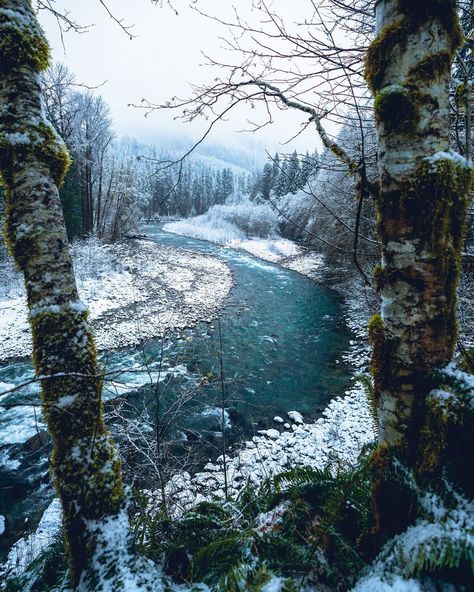 6,817 Me gusta, 105 comentarios - Albert Y. Adventure + Travel (@alberthbyang) en Instagram: "Fresh snow on river banks is a mood✌🏻️" Winter River, Ice Lake, Snow Forest, Storybook Art, Mountain Lakes, Forest Mountain, Snowy Forest, River Bank, Winter Nature