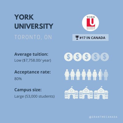 Osgoode Hall Law School, York University Toronto, Usa University, Education Facts, Birthday Goals, York University, University Of Toronto, Toronto Ontario, International Students