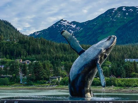 12 Best Things to Do in Juneau, Alaska — Handpicked Alaska Mendenhall Glacier, Cruise Pictures, Juneau Alaska, Colonial History, Cascade Waterfall, Alaska Cruise, Alaska Travel, Royal Caribbean, Cheap Flights