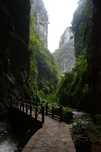 Wulong Karst, Beautiful Bridges, China Travel Guide, Chongqing China, China Architecture, Visit Places, Awesome Photography, Japanese Gardens, Chongqing