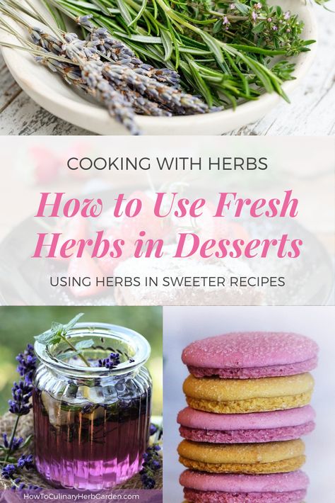 5 of our favorite herbs to use in desserts: Rosemary, Thyme, Lavender, Lemon Verbena, and Scented Geranium. Plus tips to bring out the flavor in your sweetest recipes. Desserts With Herbs, Baking With Herbs, Herb Desserts, Herbal Baking, Lemon Verbena Recipes, Cooking With Herbs, Fresh Herb Recipes, Cooking With Fresh Herbs, Fairy Food