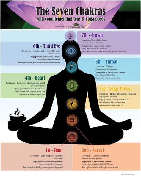 Chakras Body Map, Chakra Days Of The Week, Chakra Map, 7 Chakras Meaning, Chakra Tea, Chakra Yoga Poses, Chakra For Beginners, Yoga Mudras, Healing Chakras