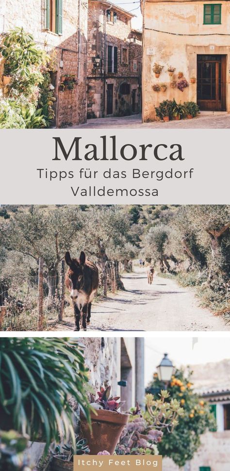 Valldemossa gilt als eines der schönsten Dörfer Mallorcas. In diesem Beitrag entführe ich dich zu einer kleinen, virtuellen Auszeit in das Bergdorf der Mittelmeerinsel und verrate dir, welche Highlights dich in Valldemossa erwarten. - Itchy Feet Reiseblog Functional Closet, Party Scene, Balearic Islands, Beautiful Villages, Magical Places, Closet Organization, Tips And Tricks, Travel Tips, Bucket List