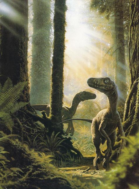 Velociraptor(?), Late Cretaceous (75-71 Ma), Discovered by Osborn -1924 Book Dinosaurs, Spinosaurus Aegyptiacus, Prehistoric Dinosaurs, Dinosaur Pictures, Dinosaur Illustration, Prehistoric World, Jurassic World Dinosaurs, Ancient Animals, Prehistoric Art