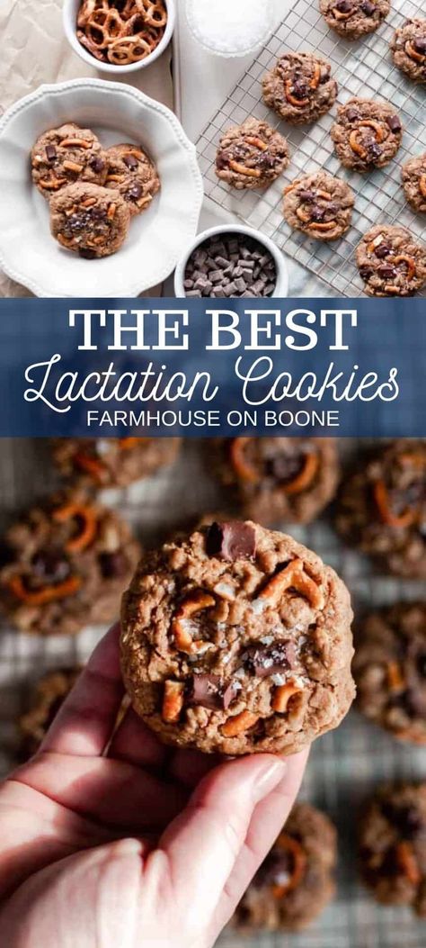 Best Lactation Cookies, Breastfeeding Cookies, Farmhouse On Boone, Lactation Cookies Recipe, Breastfeeding Snacks, Breastfeeding Foods, Lactation Recipes, Lactation Cookies, Pregnancy Food