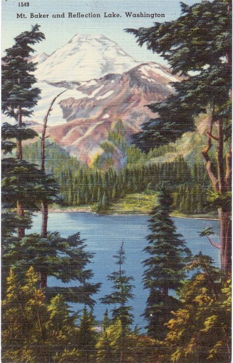 Mt Baker Washington, Washington Mountains, Washington Art, Mount Baker, Vintage Postcards Travel, Mt Baker, Lake Washington, Boston Public Library, Washington Usa