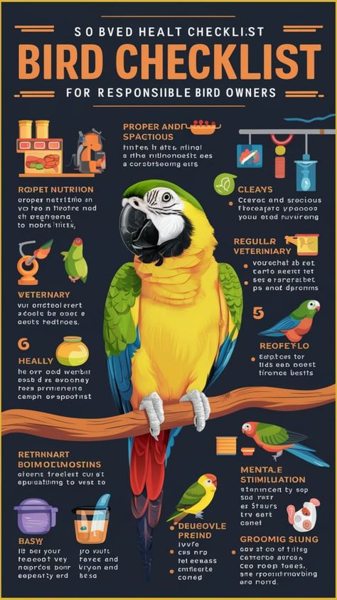 Bird Health Checklist: What Every Bird Owner Should Know Bird Owner, Health Checklist, Diy Bird Feeder, Diy Birds, Birdwatching, Bird Feeders, Birds, Health