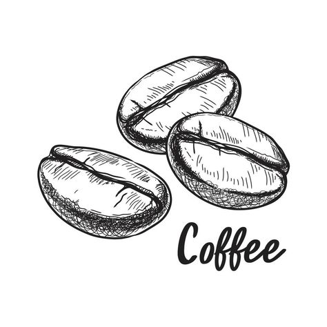 Coffee Beans Drawing, Coffee Bean Drawing, Bean Drawing, Coffee Art Drawing, Coffee Drawing, Easy Coffee, Drawing Clipart, Free Coffee, Cityscape Photos