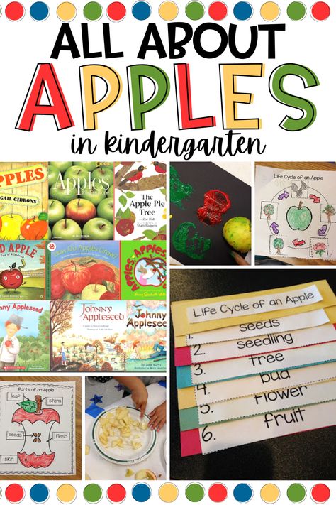 Looking for some fun apple activities you can do when learning all about apples in your kindergarten classroom? In this post, I share my must-do kindergarten apple activities from the apple life cycle, and labeling an apple to making applesauce with my students! Kindergarten Apple Activities, Books About Apples, Apple Theme Kindergarten, Activities For September, Apple Activities Kindergarten, Apple Theme Classroom, Making Applesauce, Apple Theme Activities, Preschool Apple Activities