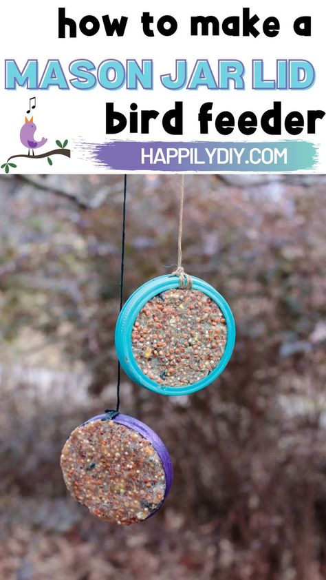 Mason Jar Bird Feeders Diy, Mason Jar Bird Feeders, Mason Jar Lid, Diy Mason Jar, Diy Bird Feeder, Diy Birds, Mason Jar Lids, Beautiful Decoration, Backyard Birds