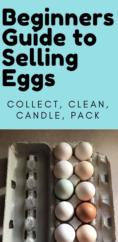 Chicken Egg Selling, Selling Chicken Eggs Sign, Farm Eggs For Sale, Egg Selling Ideas, How To Sell Chicken Eggs, How To Sell Farm Fresh Eggs, Selling Eggs At Farmers Market, Chicken Egg Business, Selling Fresh Eggs