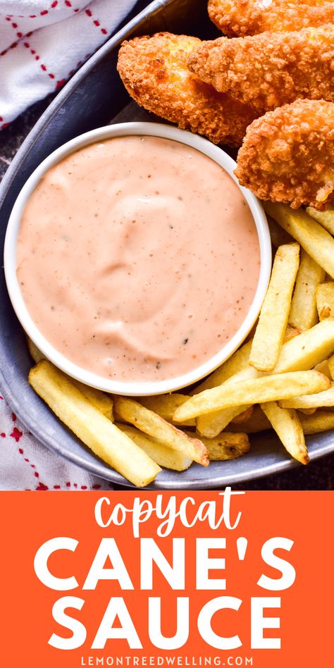 A delicious copycat recipe from the restaurant Raising Cane's! This sauce is super creamy and packed with amazing flavor. Perfect for dipping chicken, french fries, or any of your favorites! Caine's Sauce, Rasing Canes Copycat Sauce, Raising Cane's Sauce Recipe, Canes Sauce Recipe, Dipping Recipes, Dipping Sauce Recipes, Staple Meals, Canes Sauce, Lemon Tree Dwelling