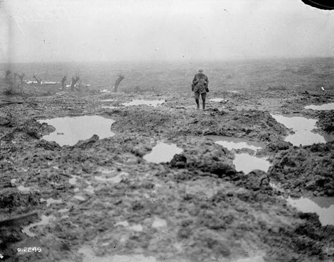 Lone Canadian soldier crossing the muddy, barbed wire-ridden battlefield, Passchendaele, 1917. Battle Of Passchendaele, Battle Of Ypres, Canadian Soldiers, Flanders Field, Shell Shock, Colorized Photos, The Great, Canadian History, Western Front