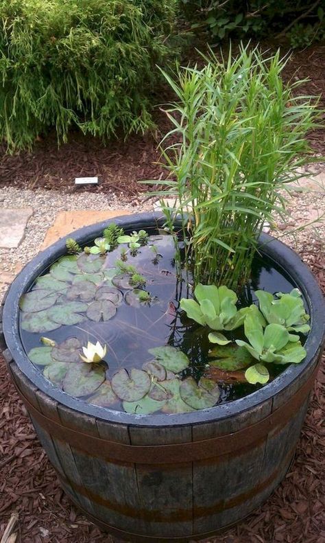 a wooden barrel with water lilies and greenery is a cool rustic idea for outdoor decor is easy to compose Tanaman Air, Mini Pond, Container Water Gardens, Backyard Ponds, Taman Air, Garden Water Feature, Fountains Backyard, Pond Landscaping, Backyard Water Feature