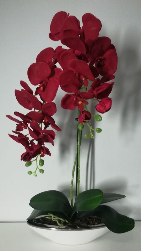 Red Orchid Aesthetic, Orchid Flower Aesthetic, Arreglos Ikebana, Red Orchid, Orchid Flower Arrangements, Red Orchids, Flower Vase Arrangements, Orchid Arrangements, Flower Arrangements Simple