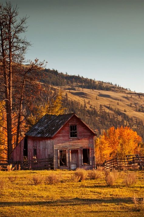 A barn has a special place in a farm setting. It speaks of simple farm life in days gone by. The old barn is a historical symbol of the rural American landscape. Driving down a country road, as you pass a barn, you pause to nostalgically wonder about its past. What stories could it tell of what has Country Side Photography, Farm Scenes, Barn Pictures, Country Barns, Barns Sheds, Farm Barn, Country Scenes, Country Side, Red Barns