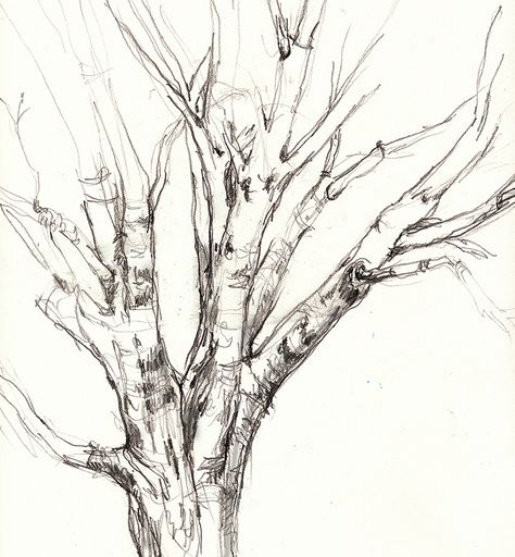 Japanese Tree Drawing, Fast Drawing, Tree Drawings Pencil, Diy Drawing, Japanese Tree, Simple Tree, Japanese Maple Tree, Contour Drawing, Japanese Maple