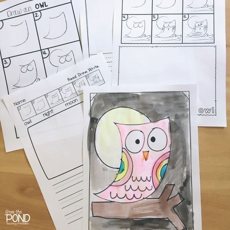 Free owl directed drawing and writing papers printables #owls #directeddrawing #artforkids Owl Directed Drawing, Drawing An Owl, October Art, From The Pond, Fall Kindergarten, Directed Drawing, Classroom Art Projects, Owl Theme, Owls Drawing