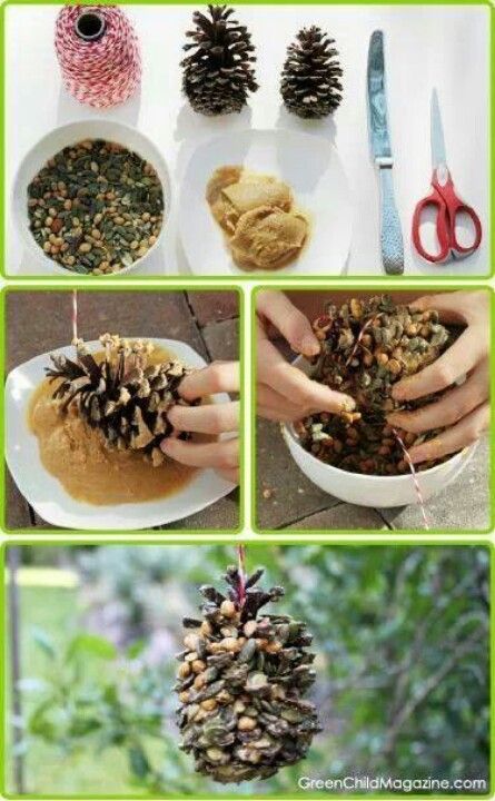 .Pine cone bird feeder, cute gift for bird watchers. Pine Cone Bird Feeder, Bird Feeder Craft, Bird Seed Ornaments, Organic Nuts, Homemade Bird Feeders, Diy Bird Feeder, Cones Crafts, Diy Birds, Pine Cone Crafts