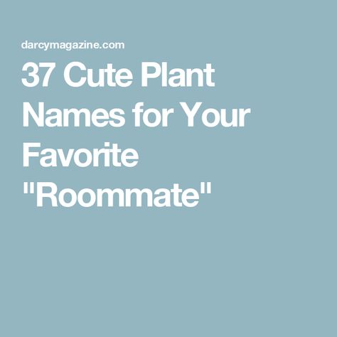 37 Cute Plant Names for Your Favorite "Roommate" Names For Plants, House Plant Names, Plant Names, Plant Names Ideas, Cute Plant Names Ideas, Cute Names For Plants, Names For Your Plants, Plant Names Cute, Funny Plant Names