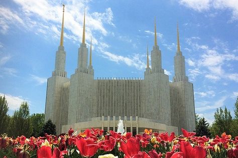 Mormons No Longer Need to Wait a Year for Temple Wedding After Civil Ceremony. Temple Sealing, Temple Wedding, Newly Married Couple, Church Of Jesus Christ, World Religions, Civil Ceremony, To Wait, Latter Day Saints, The Church