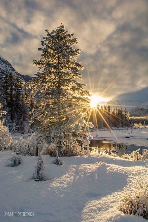 Winter Sunrise, Matka Natura, Snow Photography, Snowy Landscape, Belle Nature, Scenery Pictures, Winter Sunset, Winter Love, Winter Magic