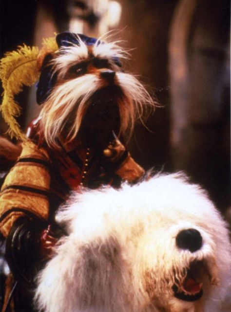 Sir Didymus and Ambrosius. The Labyrinth. Labyrinth Sir Didymus, Sir Didymus, Jim Henson Labyrinth, David Bowie Labyrinth, Labyrinth Art, Bowie Labyrinth, Labyrinth 1986, Labyrinth Movie, Brian Froud